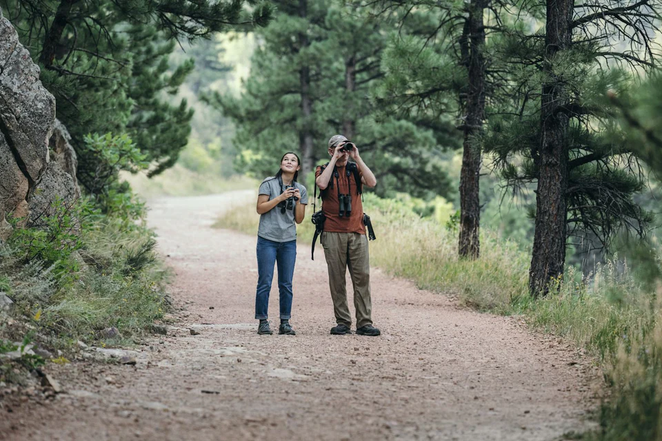 Rangefinders